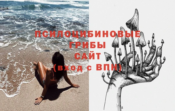 apvp Белоозёрский