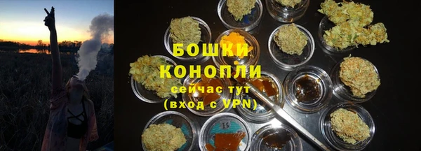 трава Беломорск
