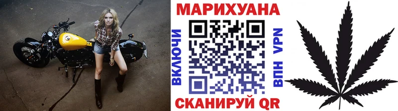 где найти   Сосенский  Бошки Шишки семена 